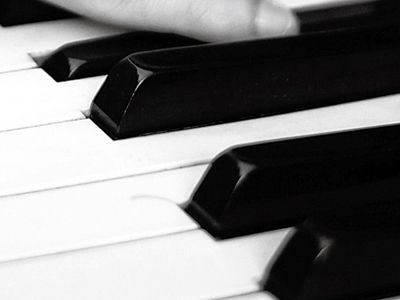 湖州华谱钢琴制造有限公司年产6000台钢琴项目 环评公众意见调查公示